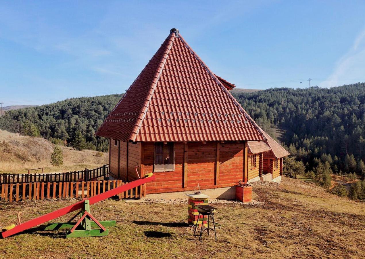 Brvnare Grujic Holiday home