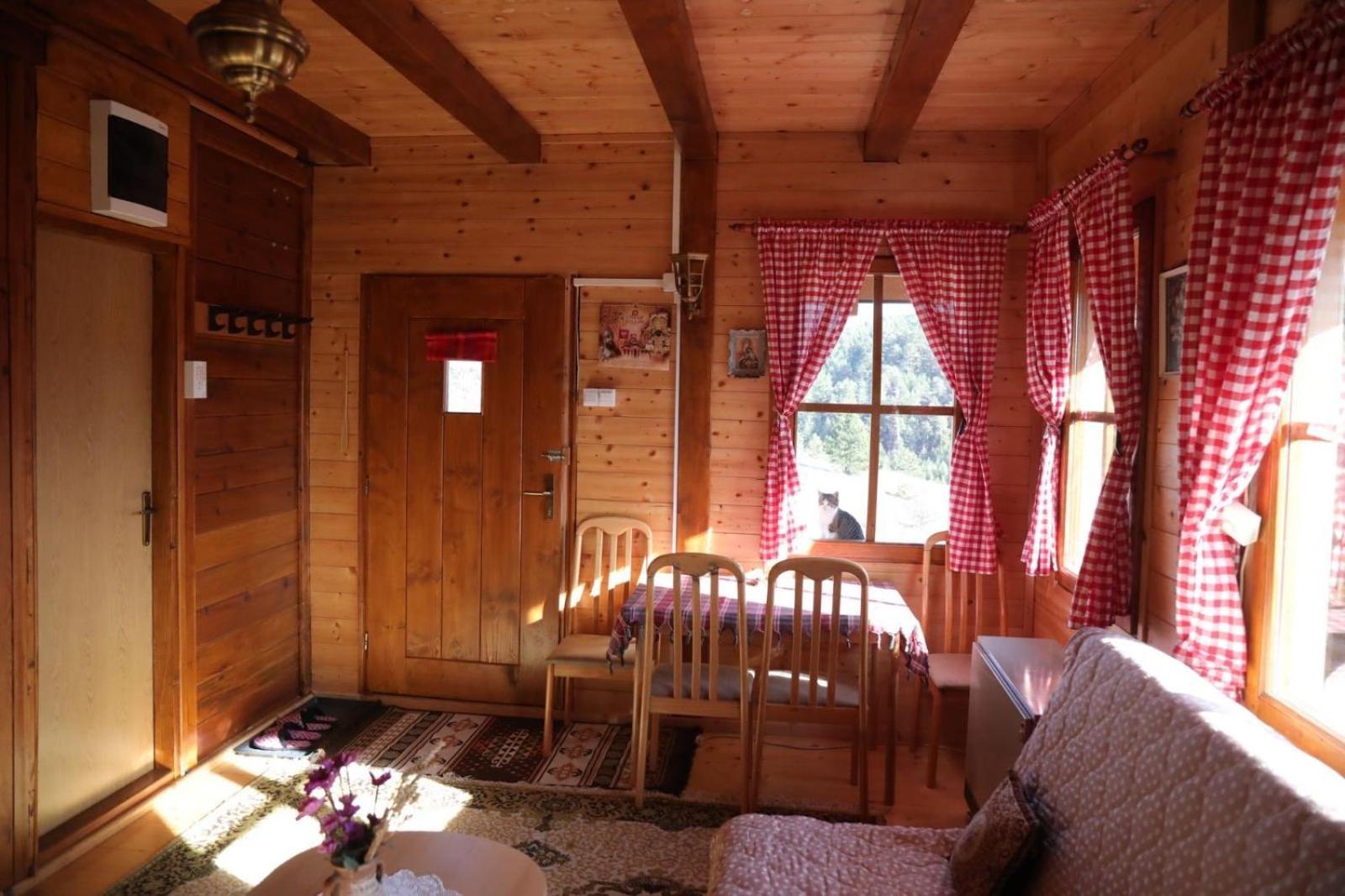 Brvnare Grujic Holiday home